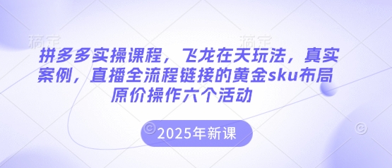 拼多多实操课程，飞龙在天玩法，真实案例，直播全流程链接的黄金sku布局原价操作六个活动-智壹网创