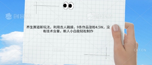 AI养生赛道新玩法，10条作品涨粉5.2W，操作简单，新人小白能轻松制作-智壹网创