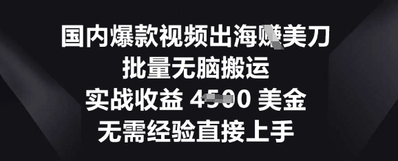 国内爆款视频出海挣美刀，批量无脑搬运，实战收益4.5k，无需经验直接上手-智壹网创