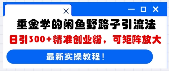 重金学的闲鱼野路子引流法，日引300+精准创业粉，可矩阵放大-智壹网创