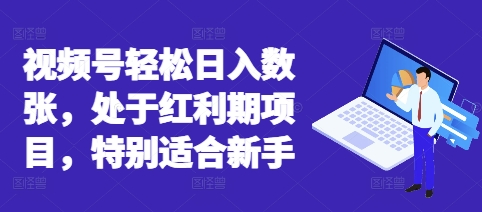 视频号轻松日入数张,处于红利期项目,特别适合新手-智壹网创