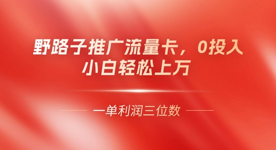 0门槛推广流量卡，一单收益上百，0投入，小白月入过W-智壹网创