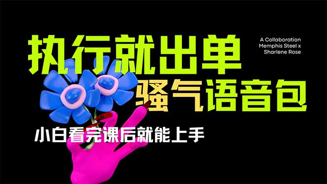 （14170期）爆火全网的开车导航骚气语音包,只要执行就出单，小白看完课程就能实操...-智壹网创