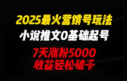 2025最火营销号玩法：小说推文0基础起号，7天涨粉5000，收益轻松破k-智壹网创