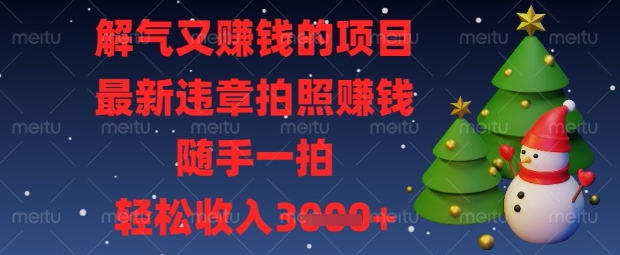 解气又挣钱的项目，最新违章拍照挣钱，随手一拍，轻松收入数张【揭秘】-智壹网创