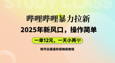 哔哩哔哩暴力拉新：2025年新风口，一单12元，一天数张(附开白渠道和保姆级教程)-智壹网创